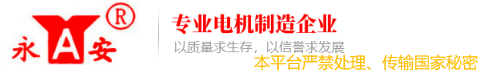 貴州永安電機(jī)有限公司官網(wǎng)